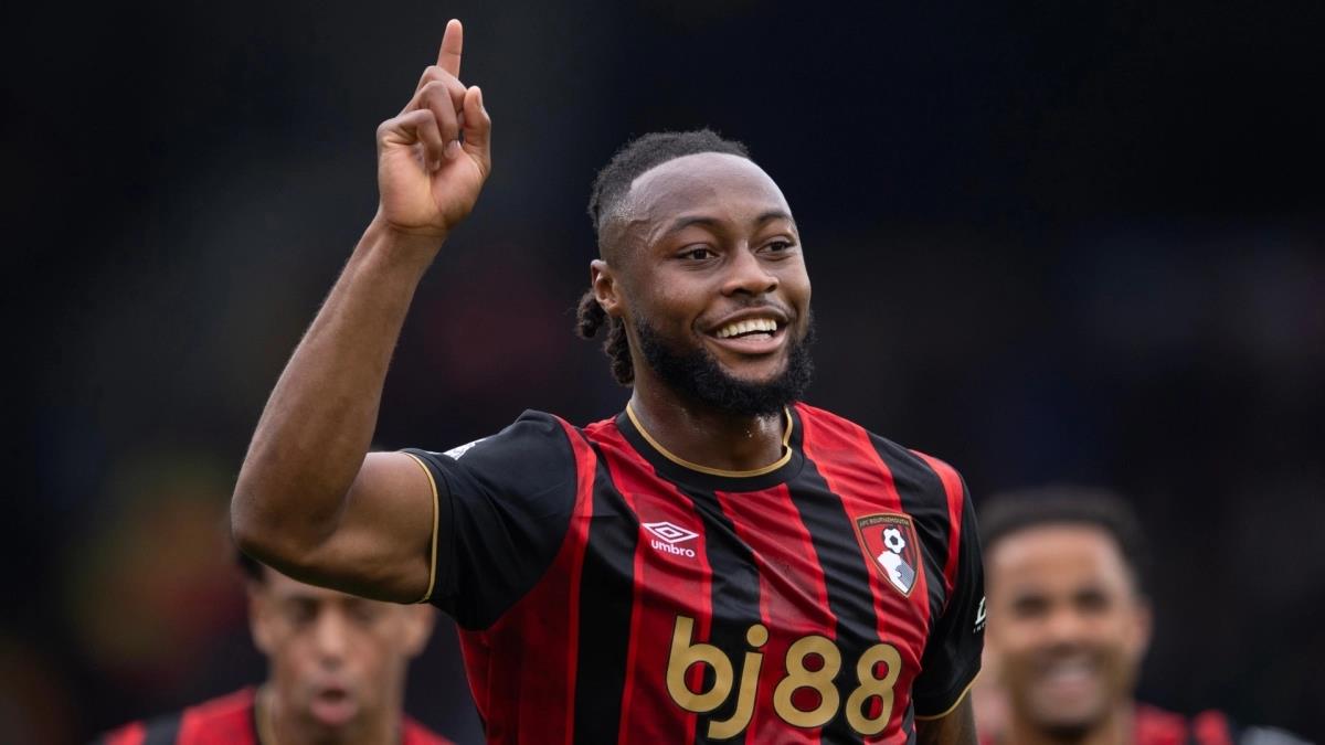 5332476668449350 image