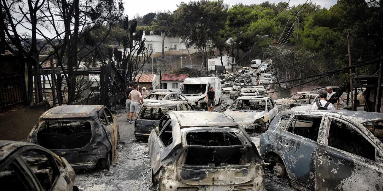 5332500082973158 image