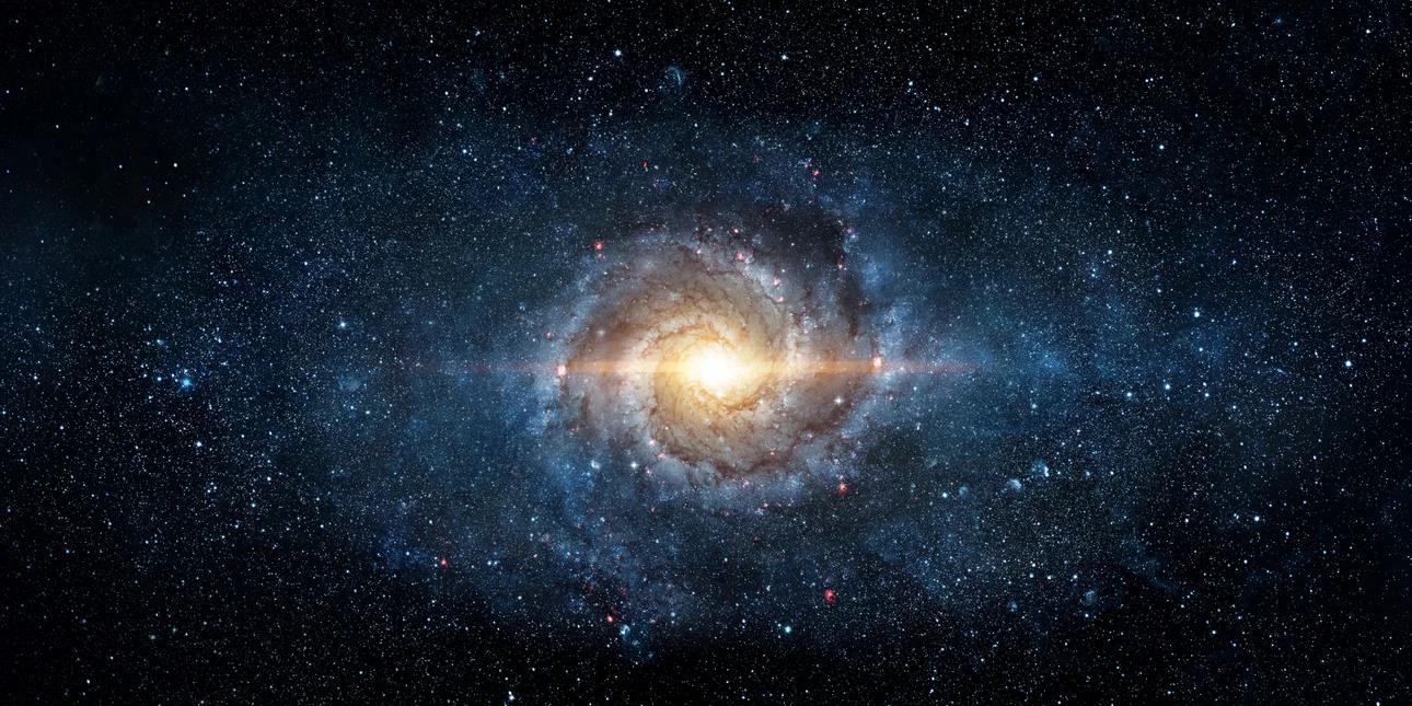 5332535172026451 image