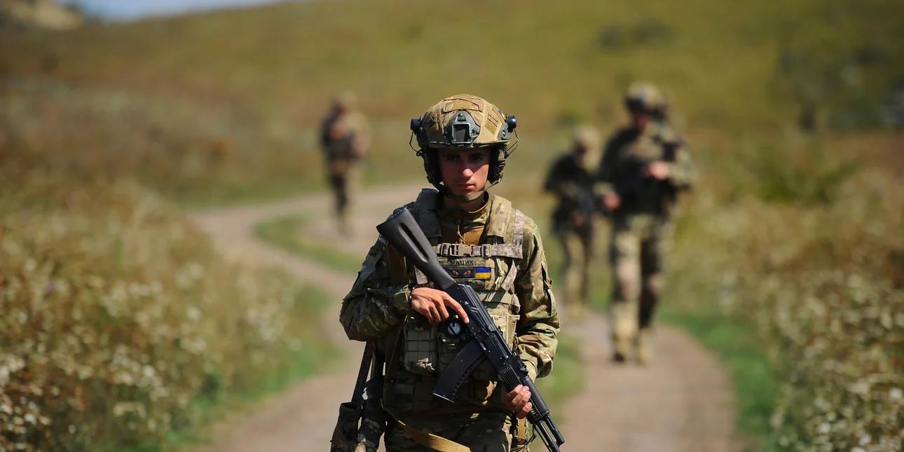 5332869208481680 image