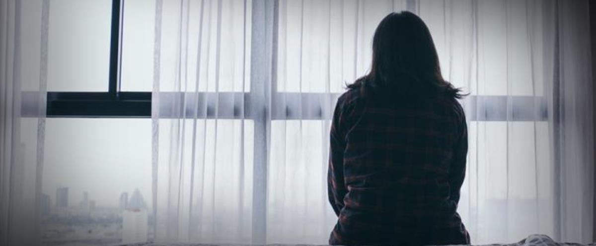 5332942043478495 cats