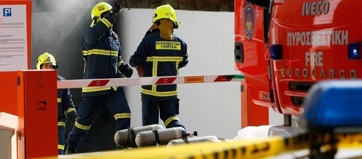 5332968440581002 cats