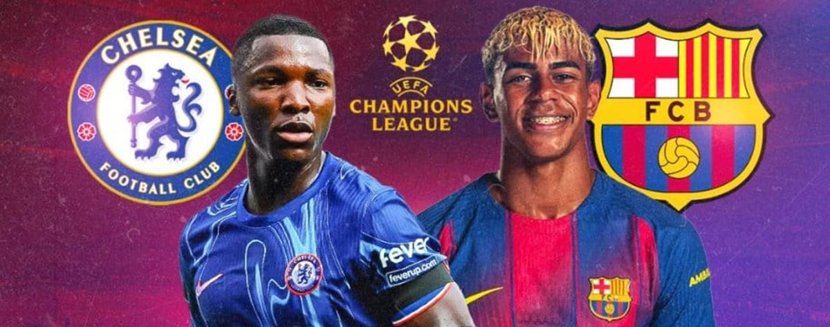 5332970896555215 cats