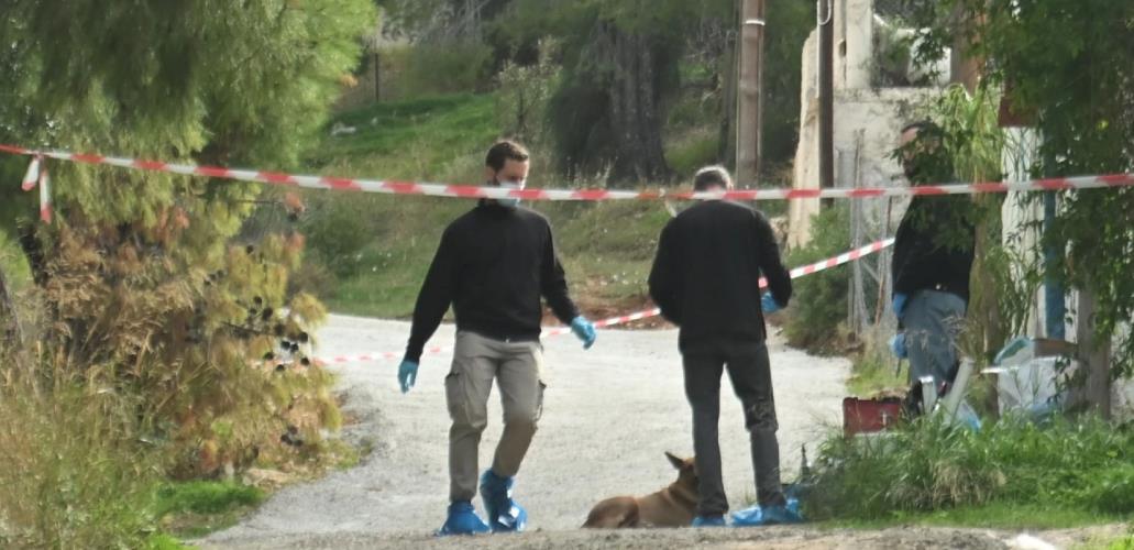 5332982908463355 image