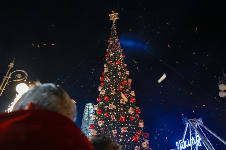 5333026367613081 image