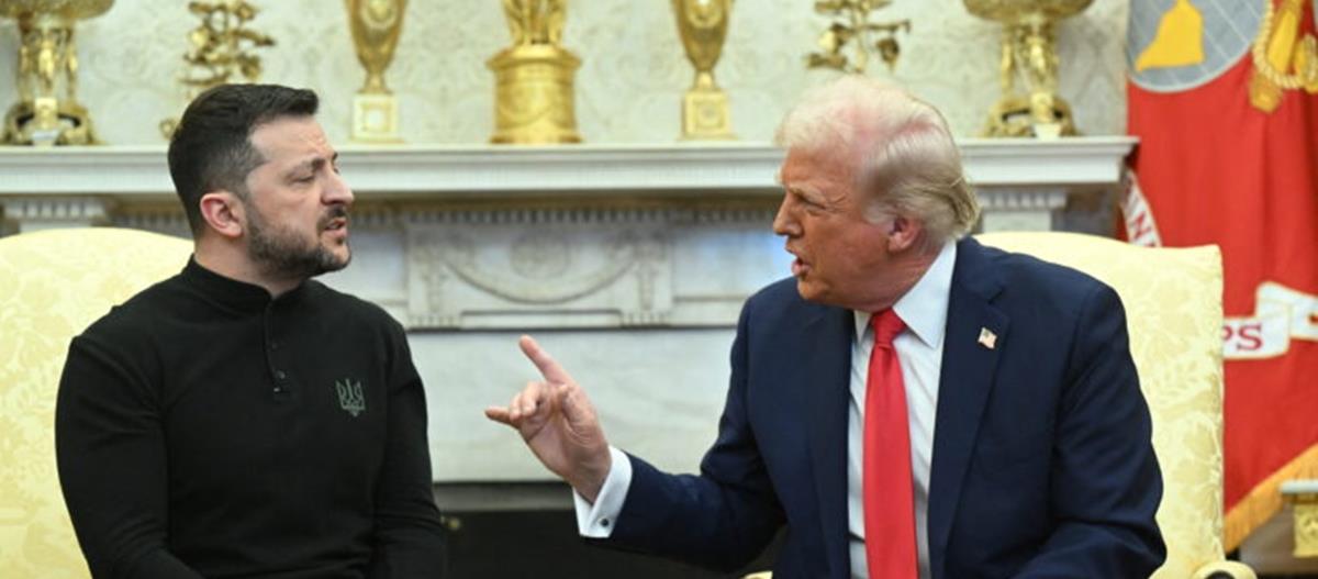 5333058403131888 cats