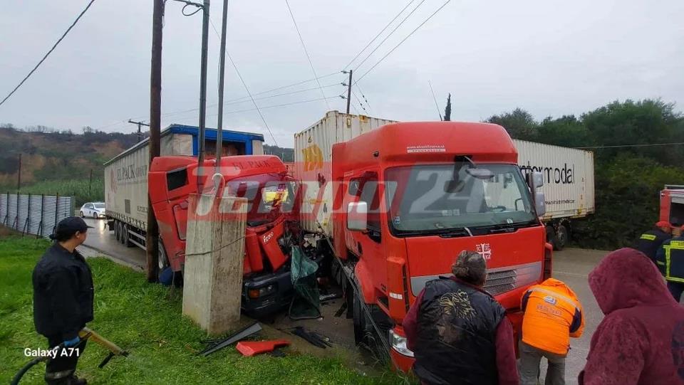 5333078358929268 image