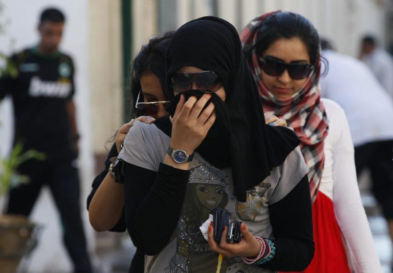 5333088364377927 image