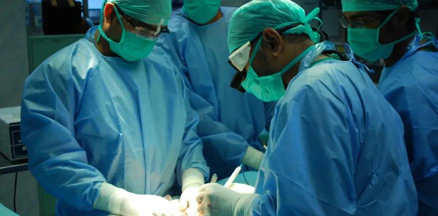 5333104389850099 image