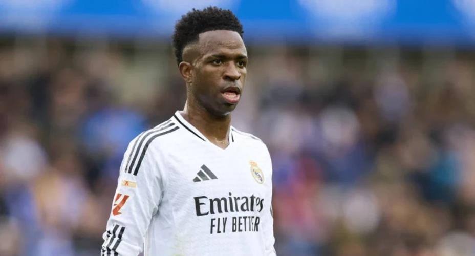 5333112599490391 image