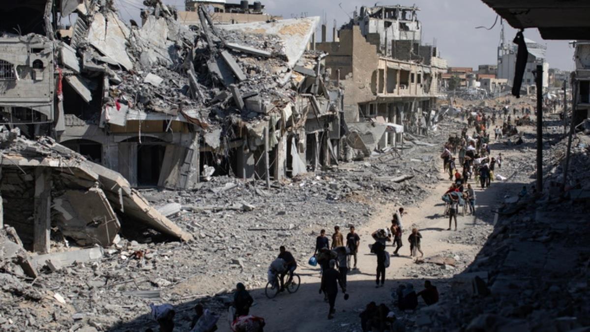 5333112054027784 image