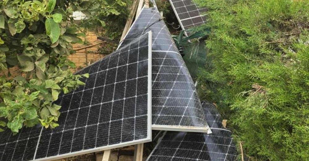 5333745464427123 cats