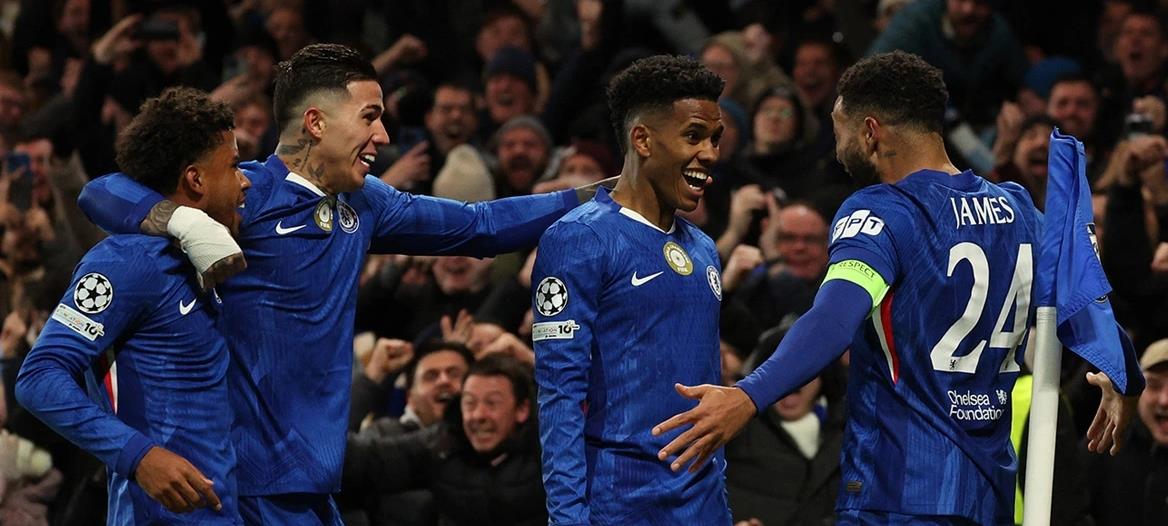 5333753735827166 cats