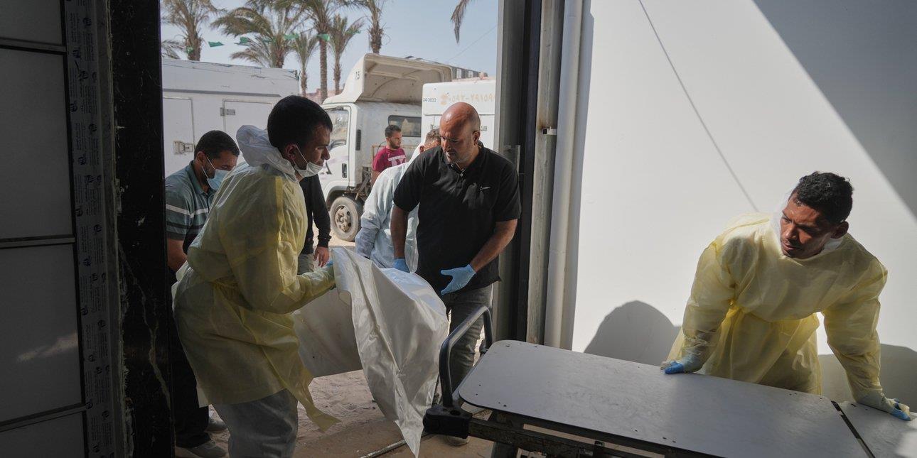 5333949084603009 image