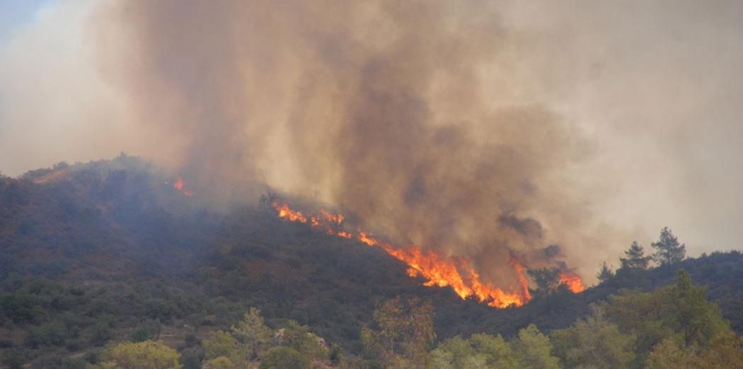 5334035200075065 image