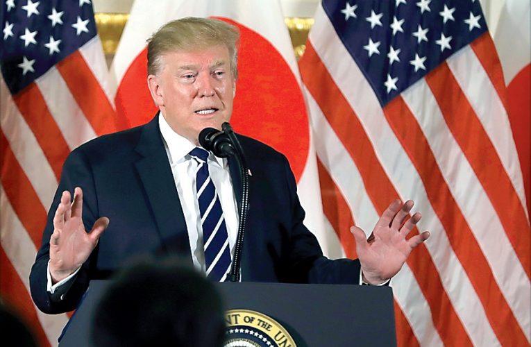 5334612127158232 image