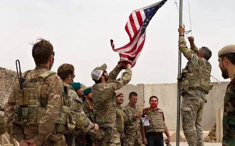 5334662122014675 image