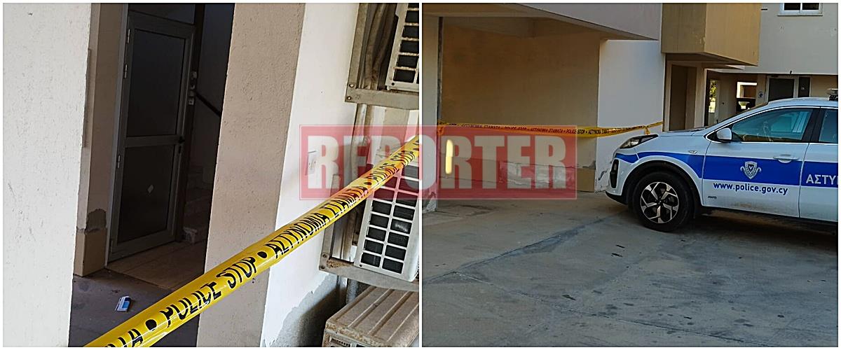 5334908292161803 image