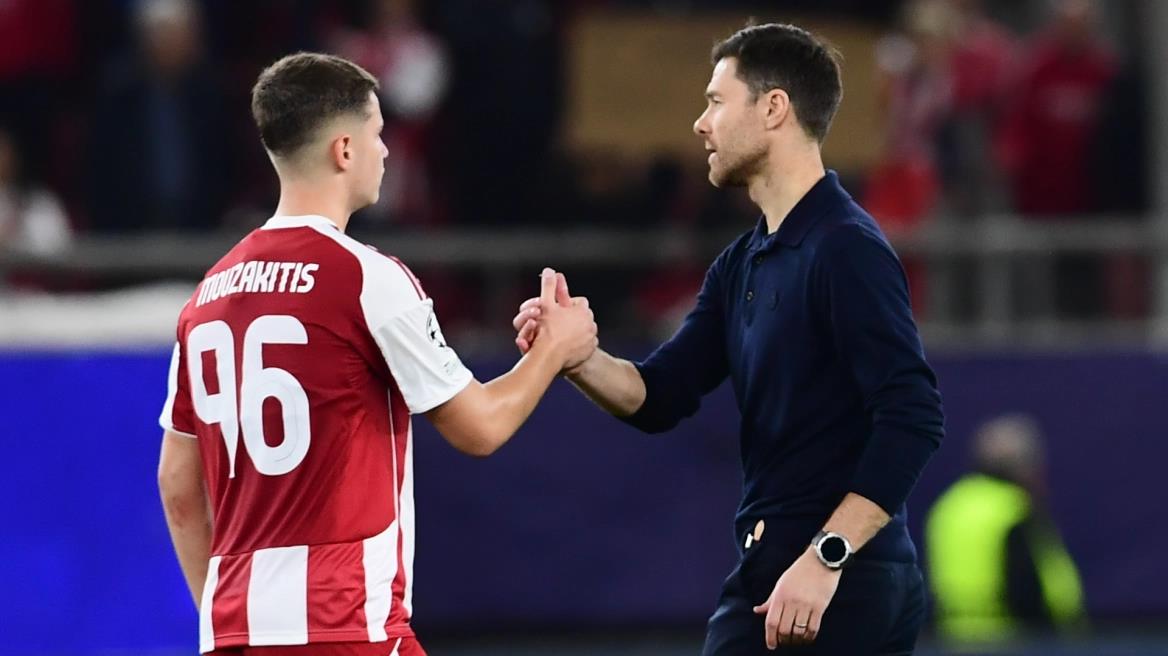 5335005630538863 image