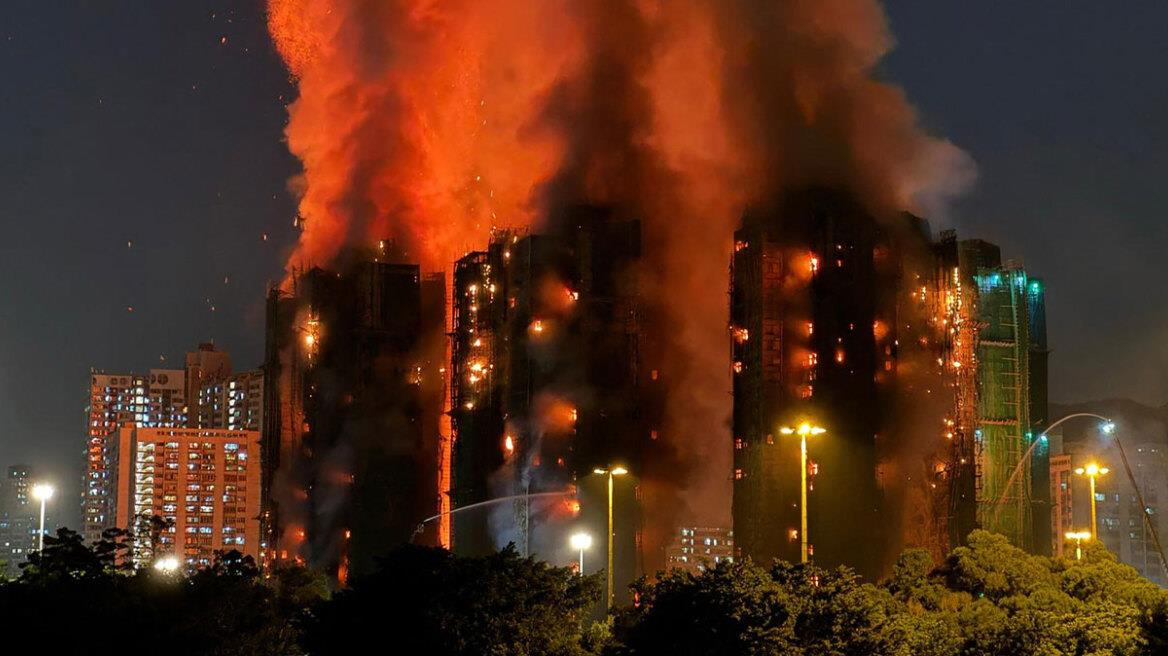 5335464343079555 image