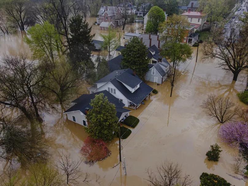 5335472741988891 image