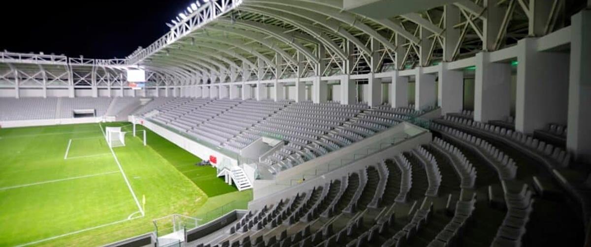 5335632964183344 cats