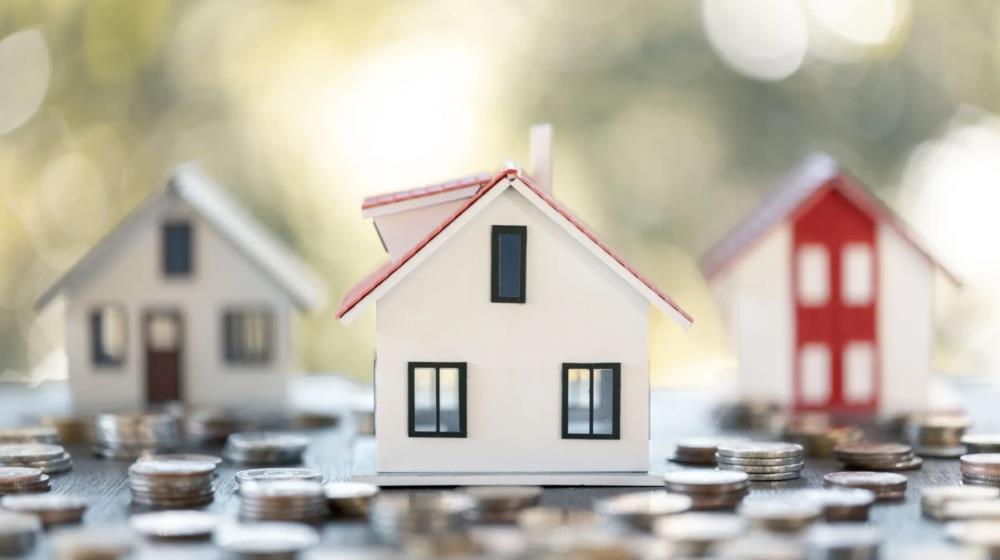 5335687452724044 MixCollage-28-Nov-2025-01-28-PM-910