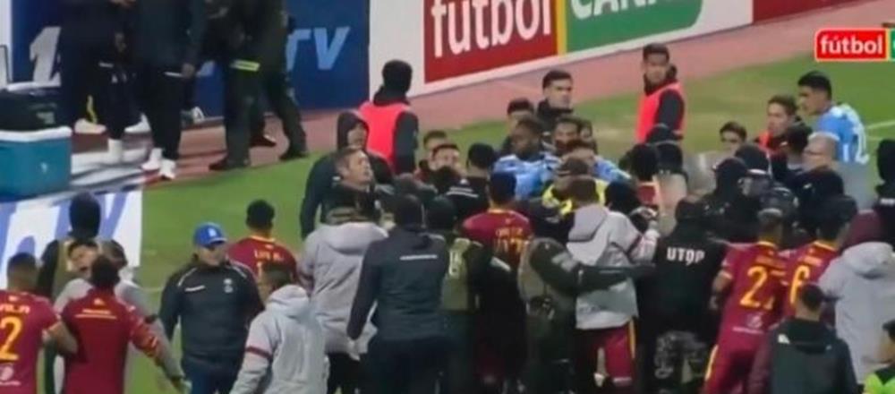 5335710270201396 cats