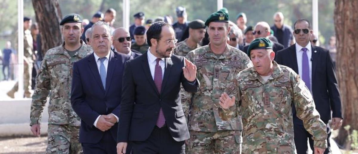 5335717873190953 cats