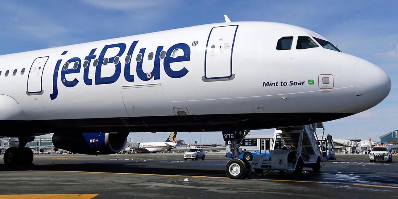 5336511374149294 image