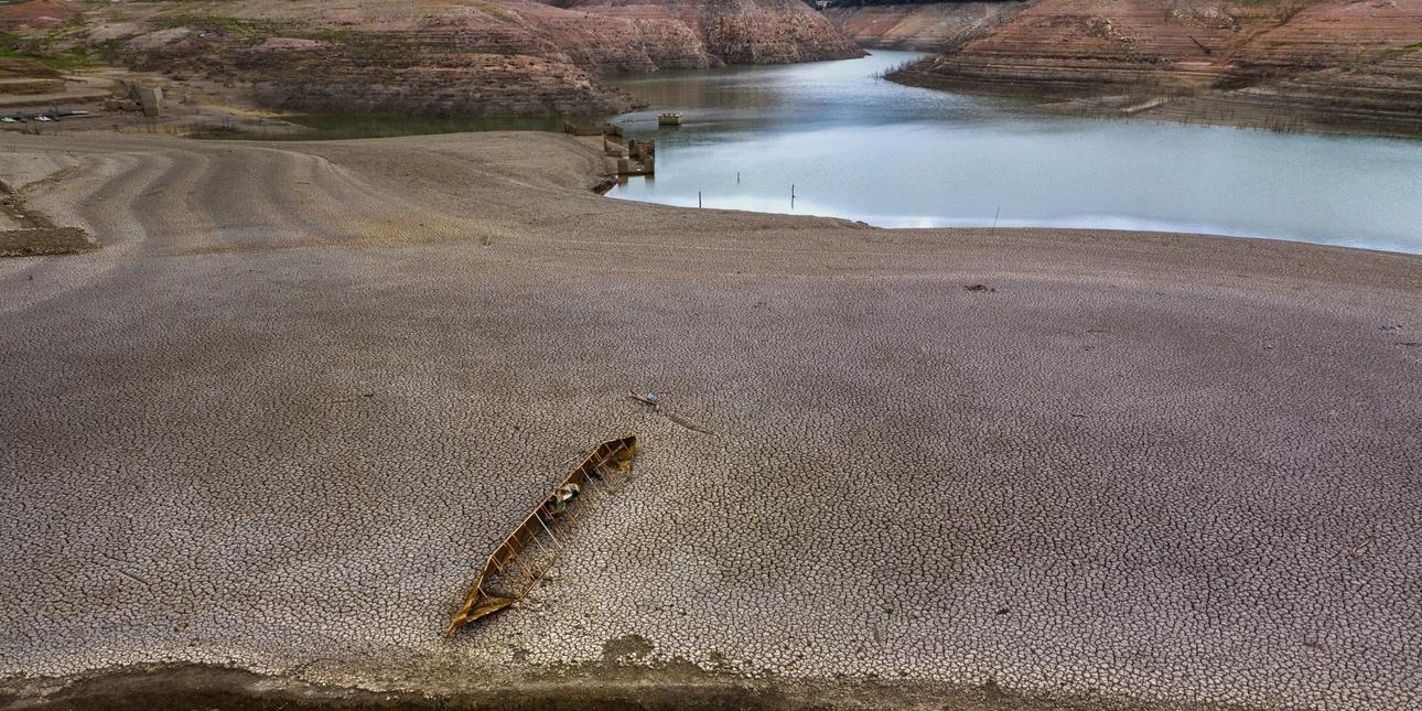 5336687878562647 image