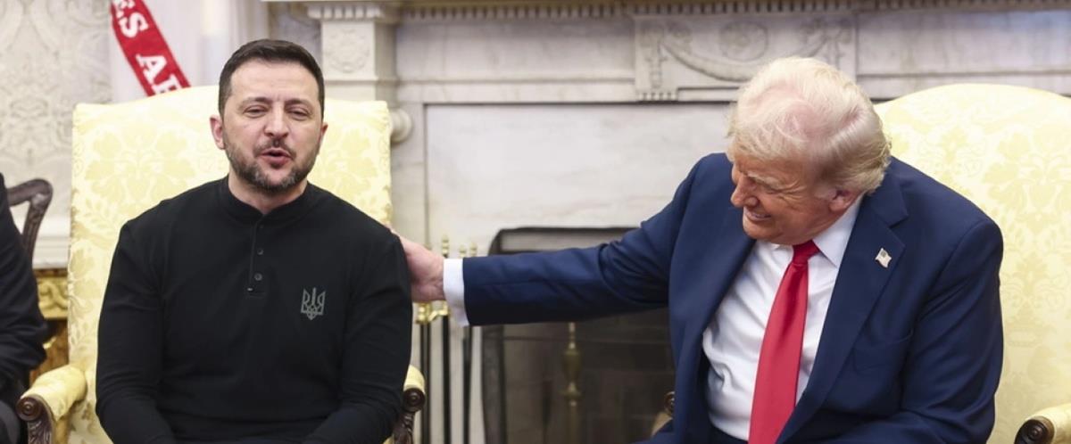 5336732523105577 cats