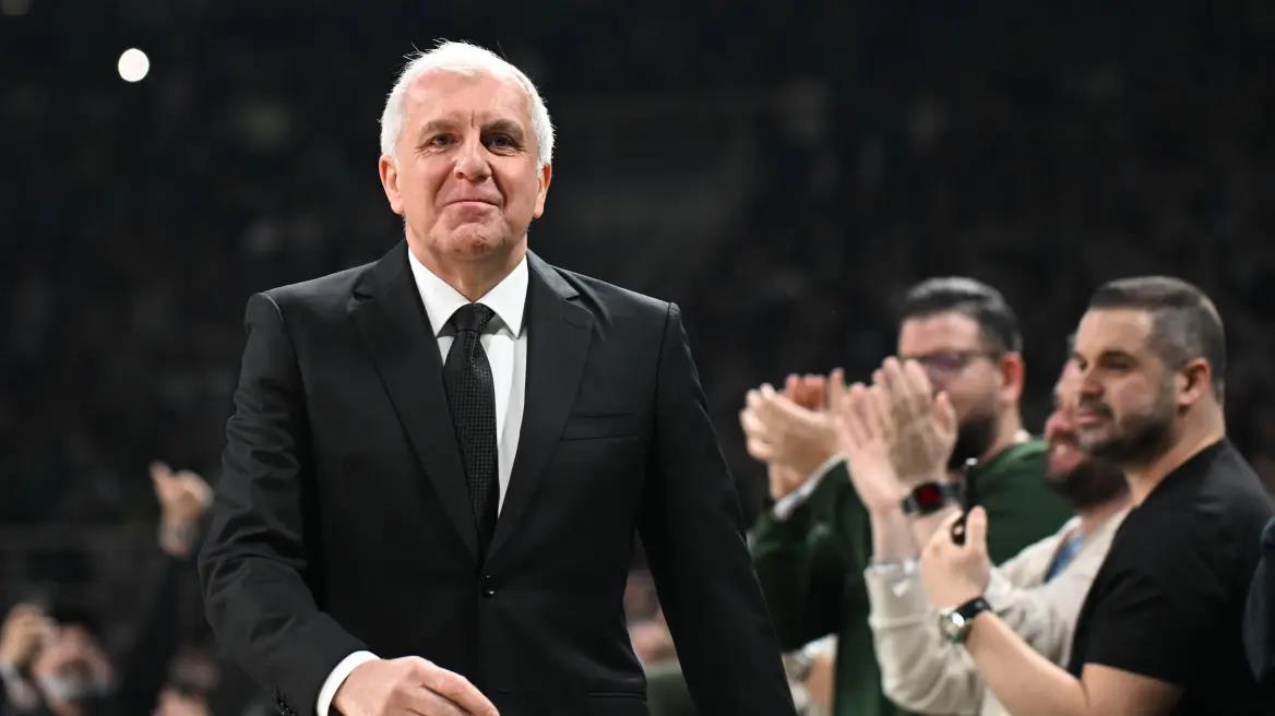 5336806569403906 image