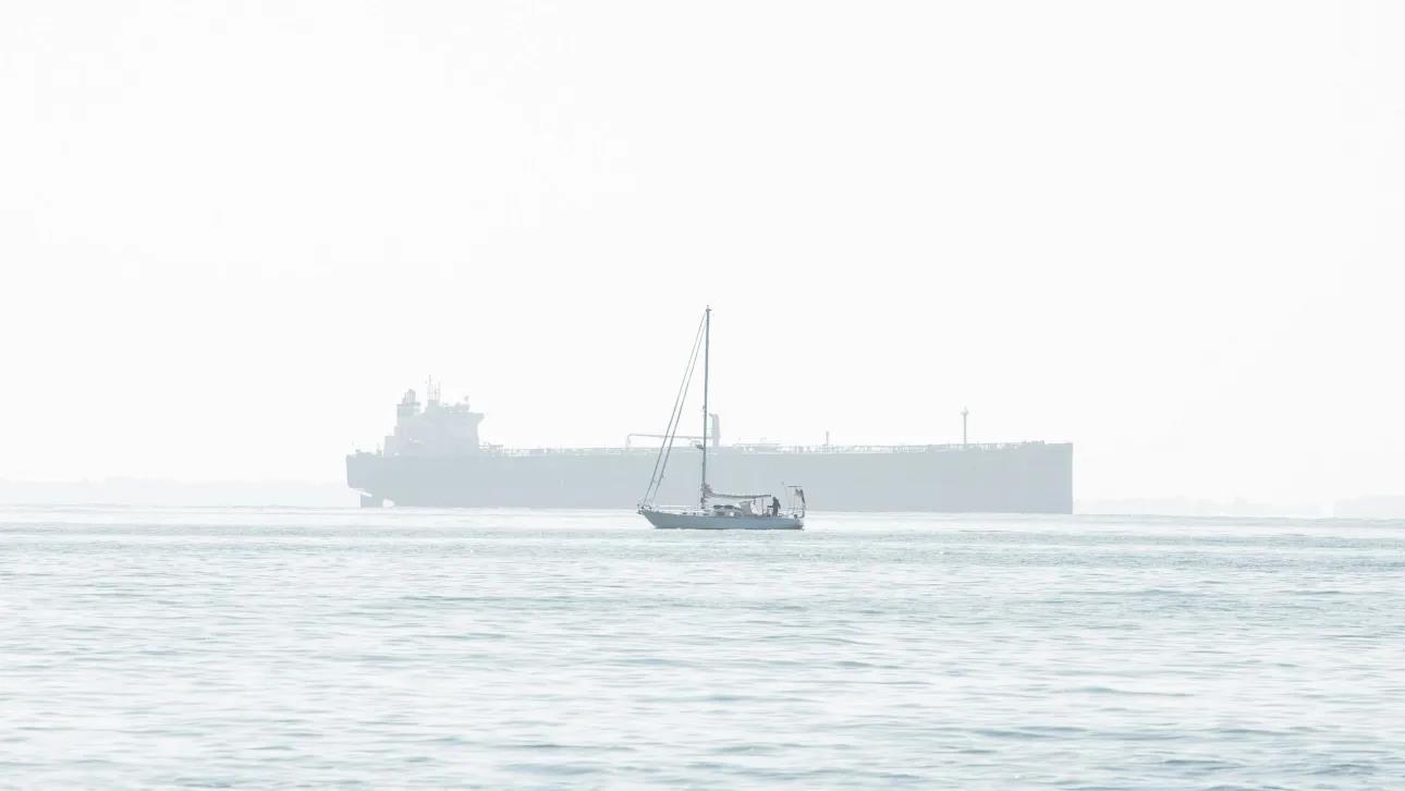 5337322238930463 image