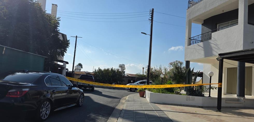 5337388482497487 image