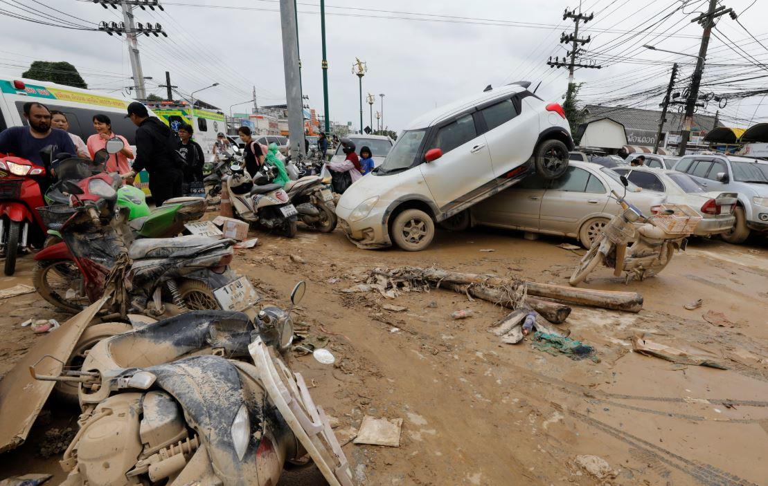 5338219761612251 image