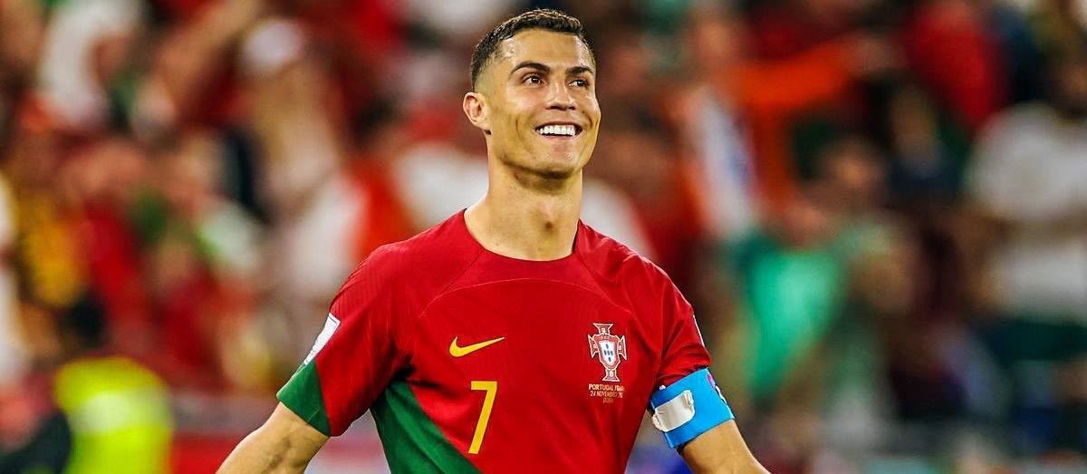 5338248602378235 cats