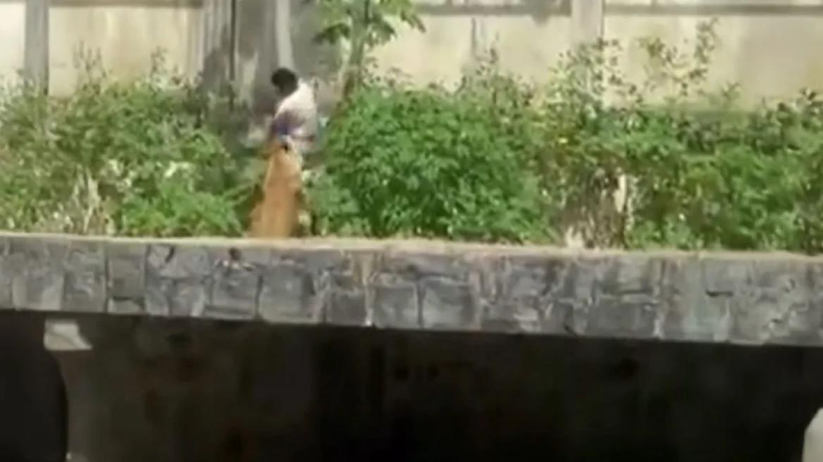 Τραγικός θάνατος για 19χρονο στη Βραζιλία-Μπήκε σε κλουβί ζωολογικού κήπου με λιοντάρια και τον κατασπάραξαν