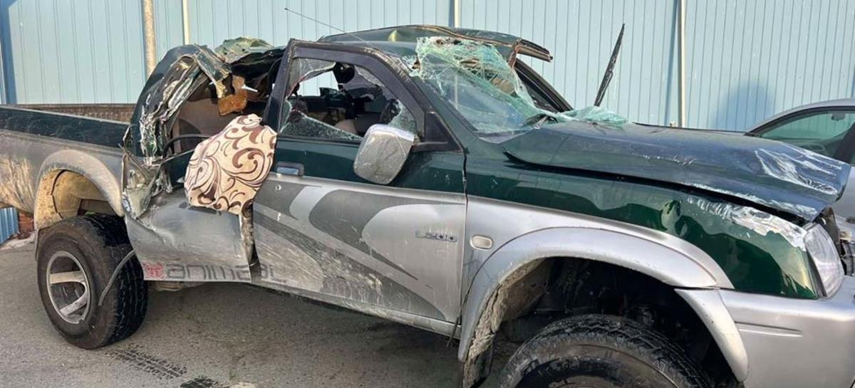 5338320682118746 cats