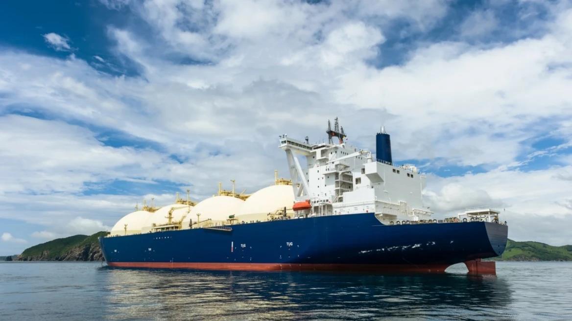 5338994461987272 image