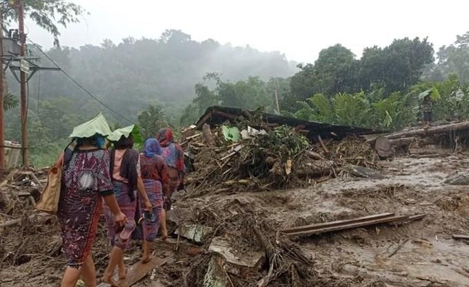 5339049346940010 image