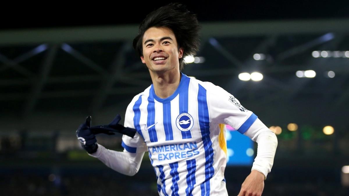 5339056586247477 image