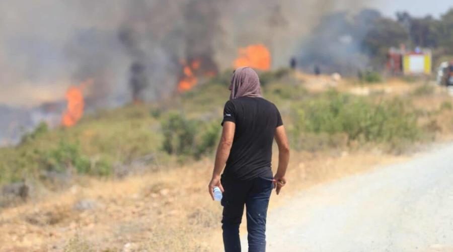 Ανέλαβε την αποκατάσταση περιοχών στη Λαόνα, που πλήγηκε από την πυρκαγιά το Κέντρο Μελετών «ΑΚΤΗ»