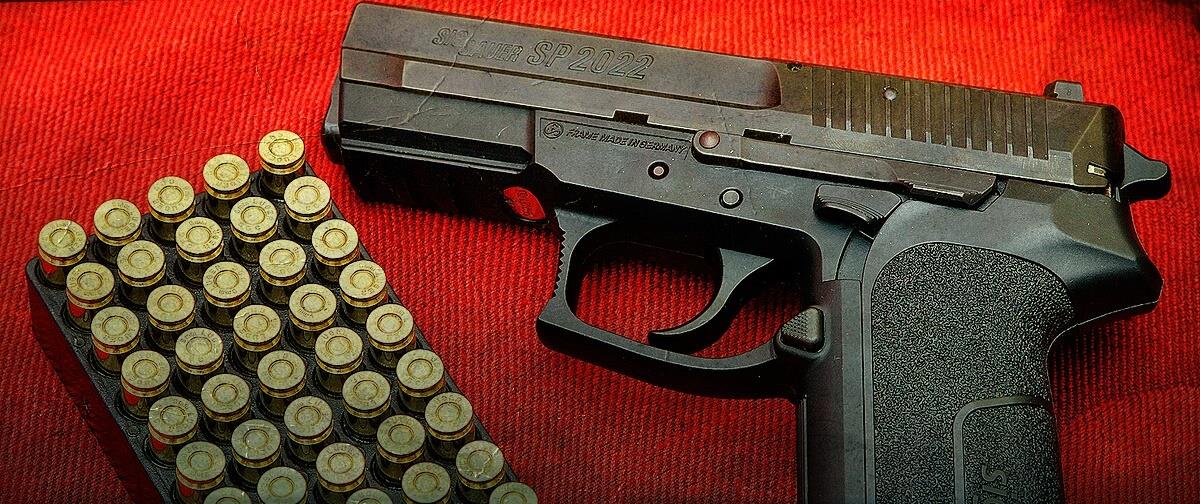 5339845956717190 SIG Pro by Augustas Didzgalvis