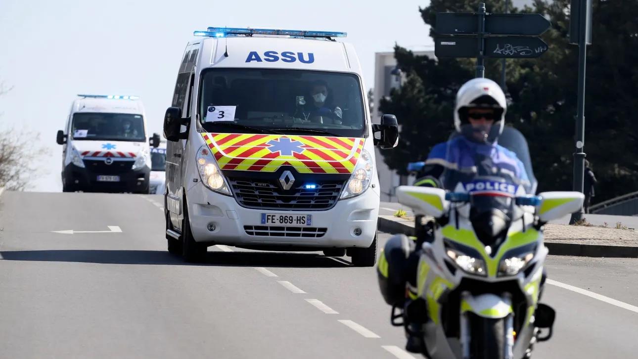 5340109092411835 image