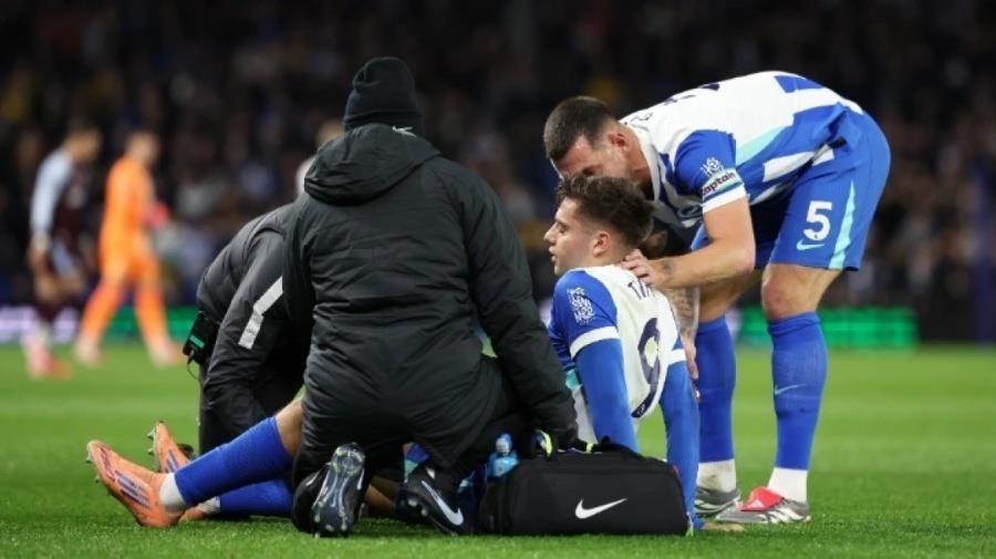 5341134313557060 w04-193434