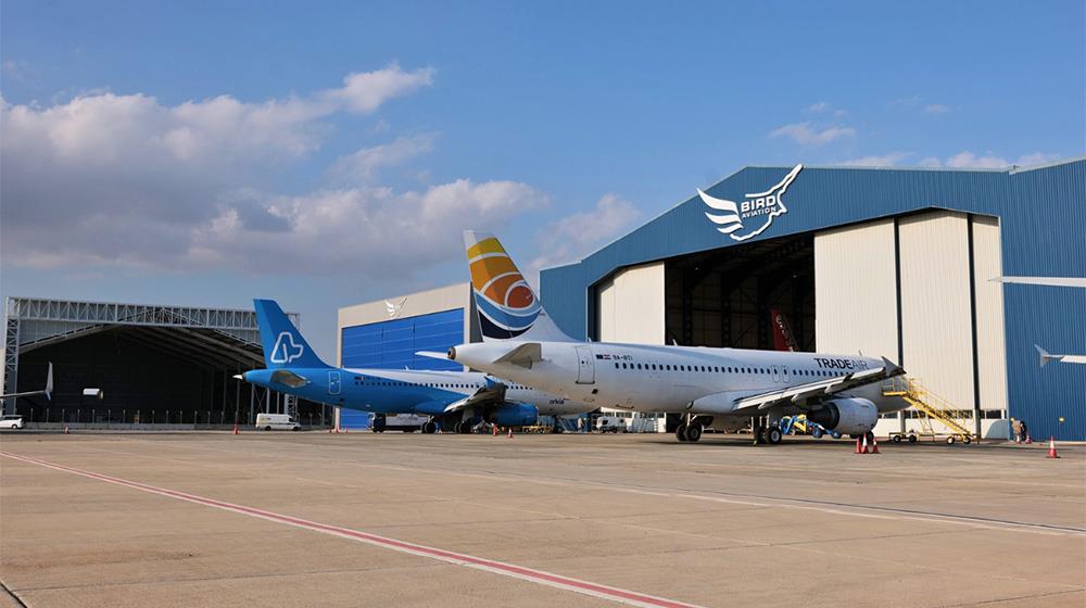 5327123743690028 bird aviation