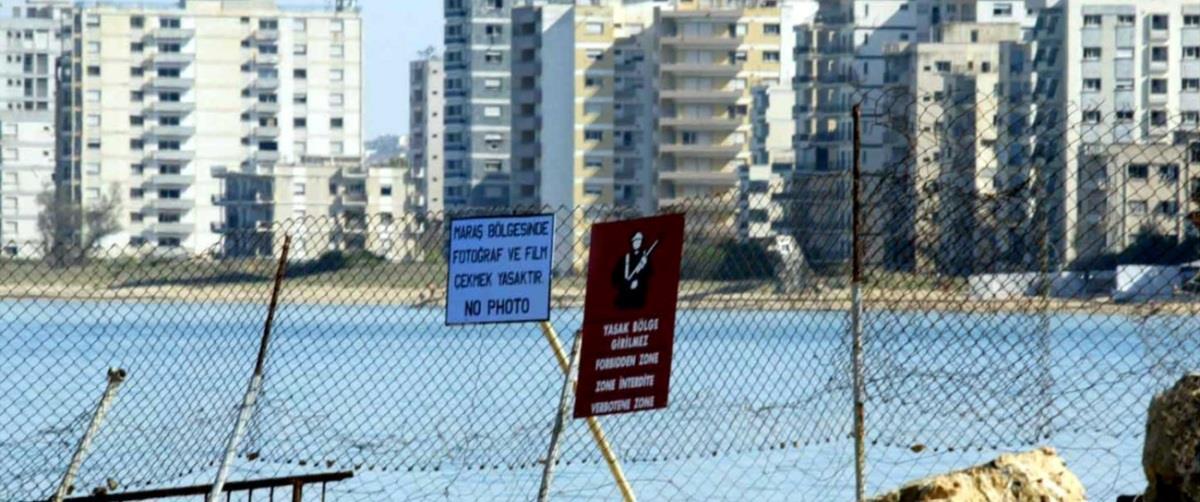 5341088883079203 image