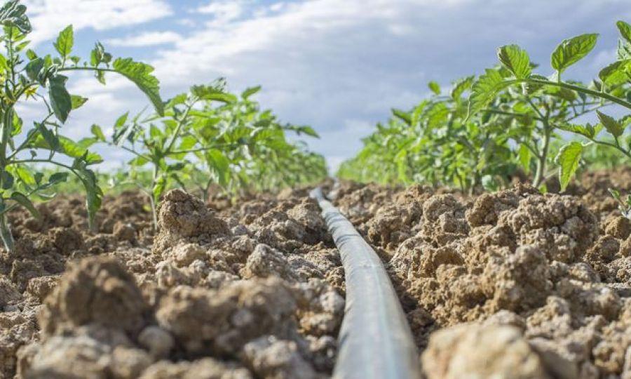 5344525180800677 image