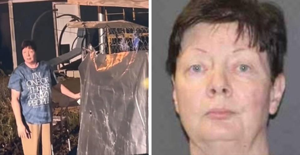 5344589899135022 image